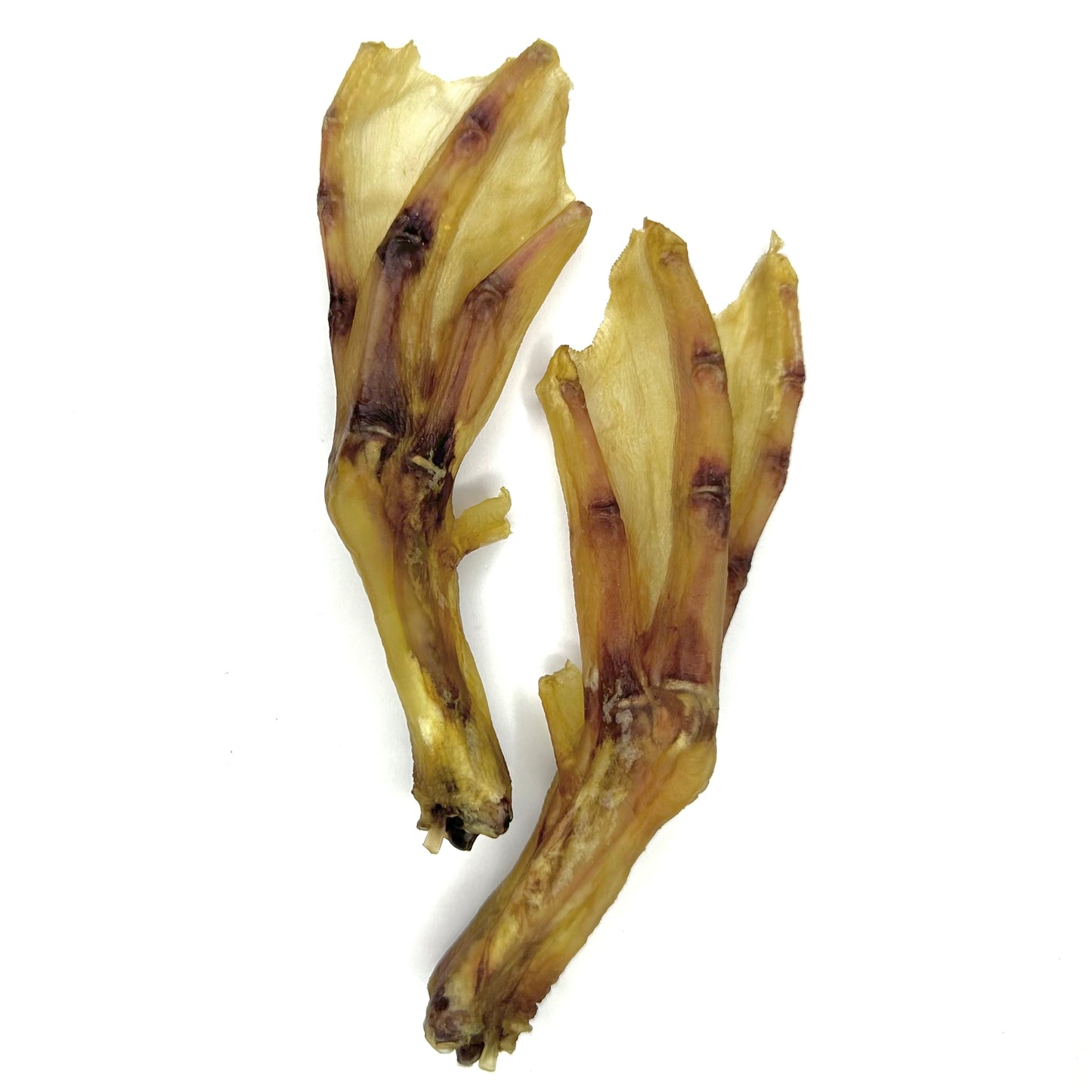 Duck Feet